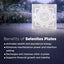 MantraMani SELENITE (Chandramani) – Yantra & Plate - Cleansing, Charging other