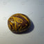 MantraMani Sang - e - Maryam — Premium Raw Healing Stone for Emotional Balance