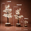 MantraMani Clear Quartz Crystal Tree – Removes Depression, Anger & Anxiety