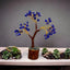 MantraMani Evil Eye Tree – Protection from Negative Energy & Nazar