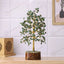 MantraMani Green Jade Tree : Promotes Wealth Attraction & Money Growth