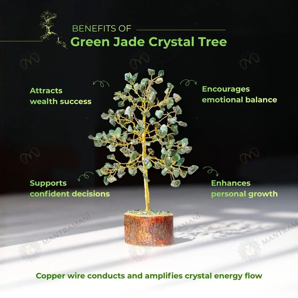 MantraMani Green Jade Tree : Promotes Wealth Attraction & Money Growth