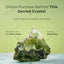 MantraMani Green Jade Tree : Promotes Wealth Attraction & Money Growth
