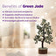 MantraMani Green Jade Tree : Promotes Wealth Attraction & Money Growth