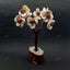MantraMani Gomti Chakra & Rudraksh Tree – Protection, Stability & Positive Energy