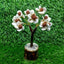 MantraMani Gomti Chakra & Rudraksh Tree – Protection, Stability & Positive Energy