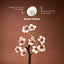 MantraMani Gomti Chakra & Rudraksh Tree – Protection, Stability & Positive Energy