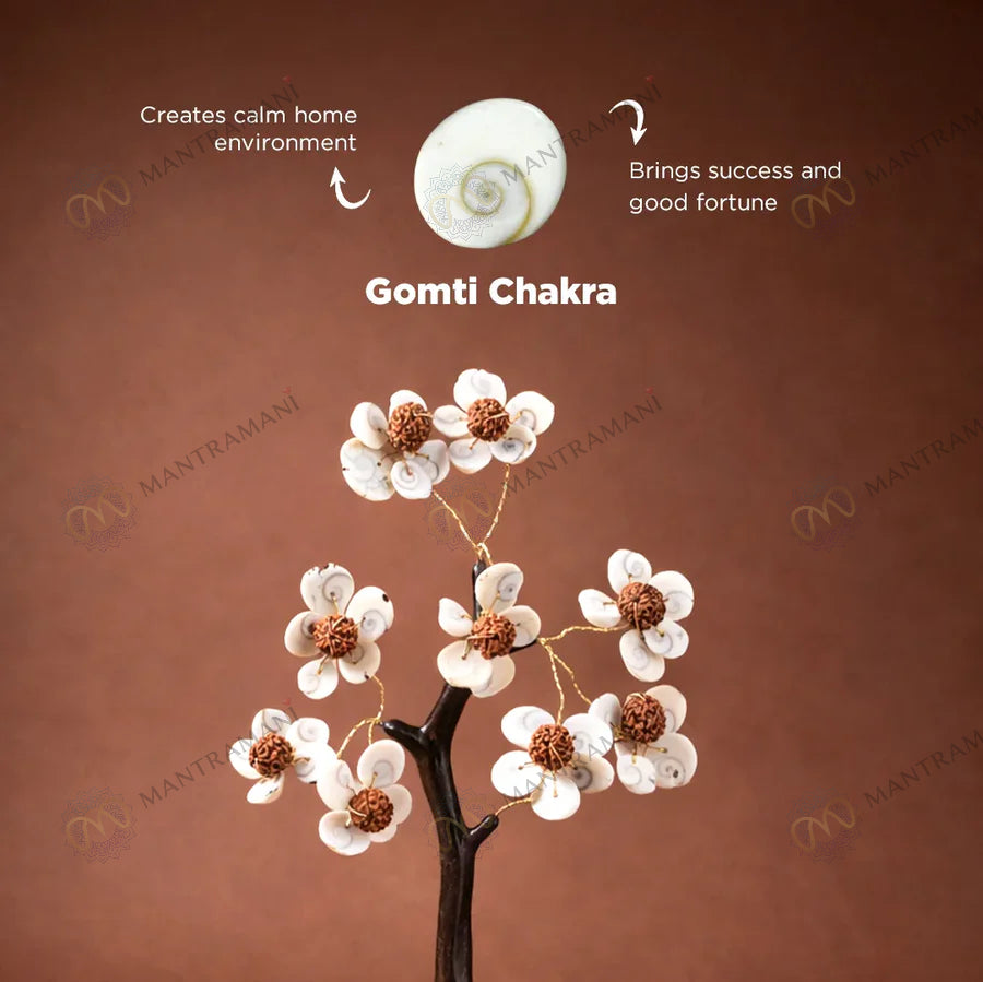 MantraMani Gomti Chakra & Rudraksh Tree – Protection, Stability & Positive Energy