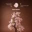 MantraMani Rose Quartz Tree : Improve Love, Relationship & Emotional Connection