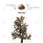 MantraMani Tiger Eye Tree – Crystal Tree for Confidence, Courage
