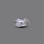 MantraMani® Natural Crystal (Sphatik) — Certified Authentic & Natural Gemstone