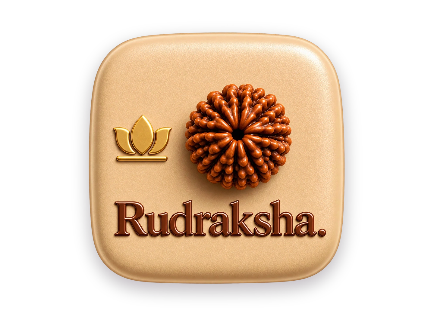 Rudraksha