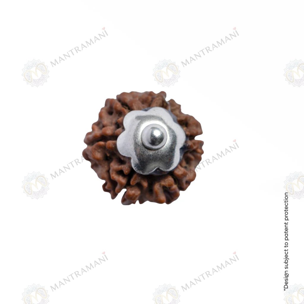 MantraMani Adiyogi Shiv 7 Mukhi Rudraksha Pendant - Energized Vedic Gemstone Jewelry - MantraMani