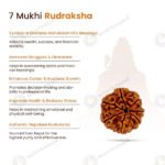MantraMani Adiyogi Shiv 7 Mukhi Rudraksha Pendant - Energized Vedic Gemstone Jewelry - MantraMani