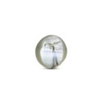 MantraMani® Cats Eye (Lahsuniya) — Certified Authentic & Natural Gemstone