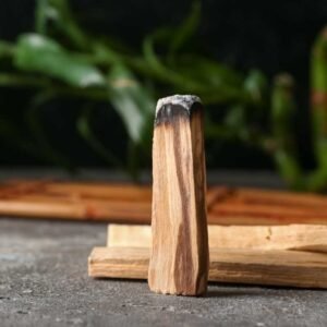 MantraMani PALO SANTO (Harichandan) – Palo Santo - Vastu Protection Shield - Ju