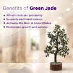 MantraMani Green Jade Tree : Promotes Wealth Attraction & Money Growth - Energized Vedic Gemstone Jewelry - MantraMani