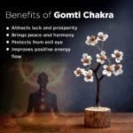 MantraMani Gomti Chakra & Rudraksh Tree - Energized Vedic Gemstone Jewelry - MantraMani