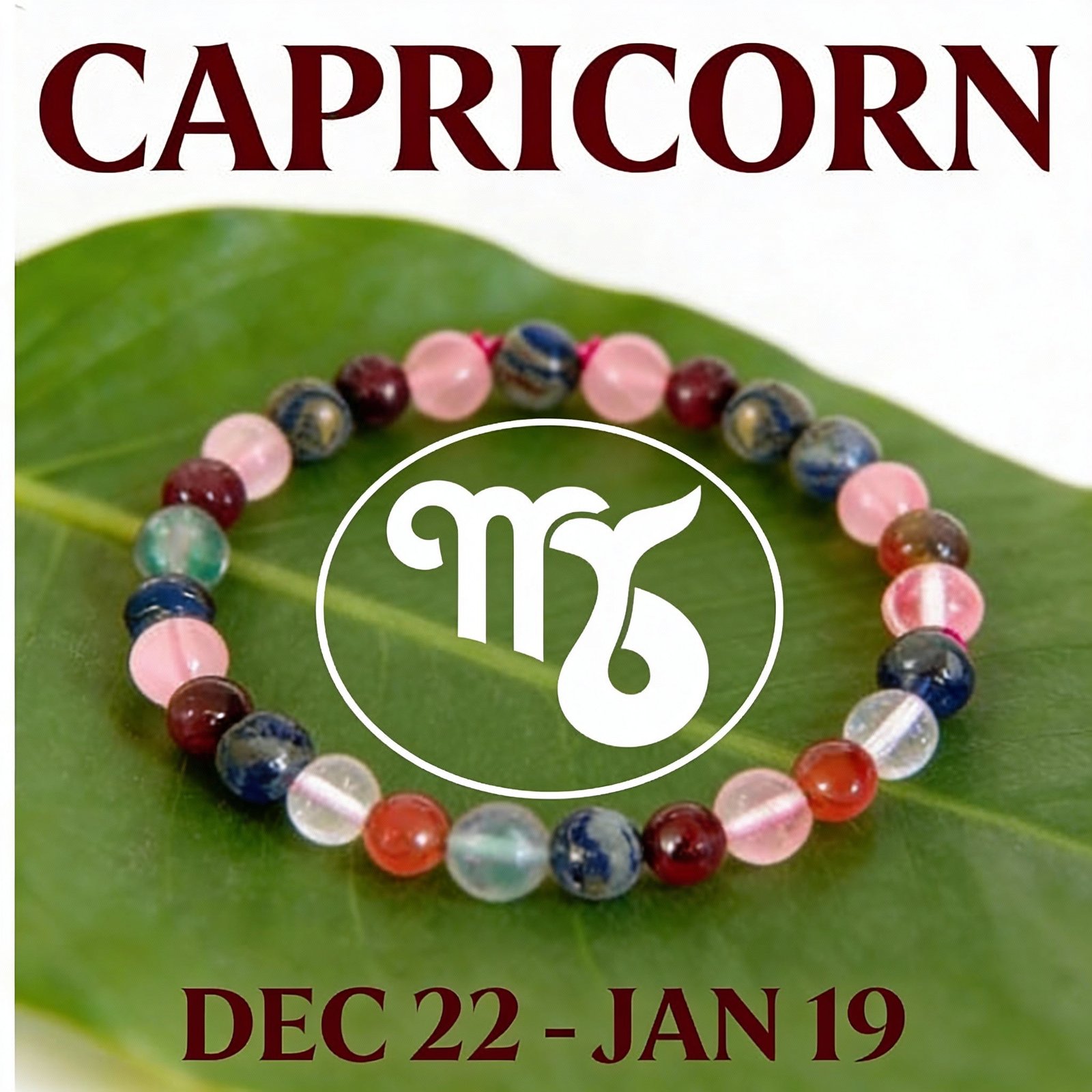 Capricorn Rashi Bracelet – Focus & Discipline | MantraMani
