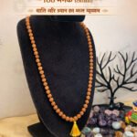 MantraMani Rudraksha Jaap Mala  108 + 1 Meru - Energized Vedic Gemstone Jewelry - MantraMani