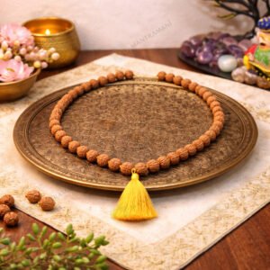 MantraMani Rudraksha Jaap Mala — 108 + 1 Meru - 5 Mukhi Rudraksha (5mm) for Japa, Meditation & Spiritual Balance