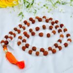 MantraMani Rudraksha & Clear Quartz (Rudraksha, Sphatik) - Energized Vedic Gemstone Jewelry - MantraMani