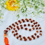 MantraMani Rudraksha & Clear Quartz (Rudraksha, Sphatik) - Energized Vedic Gemstone Jewelry - MantraMani